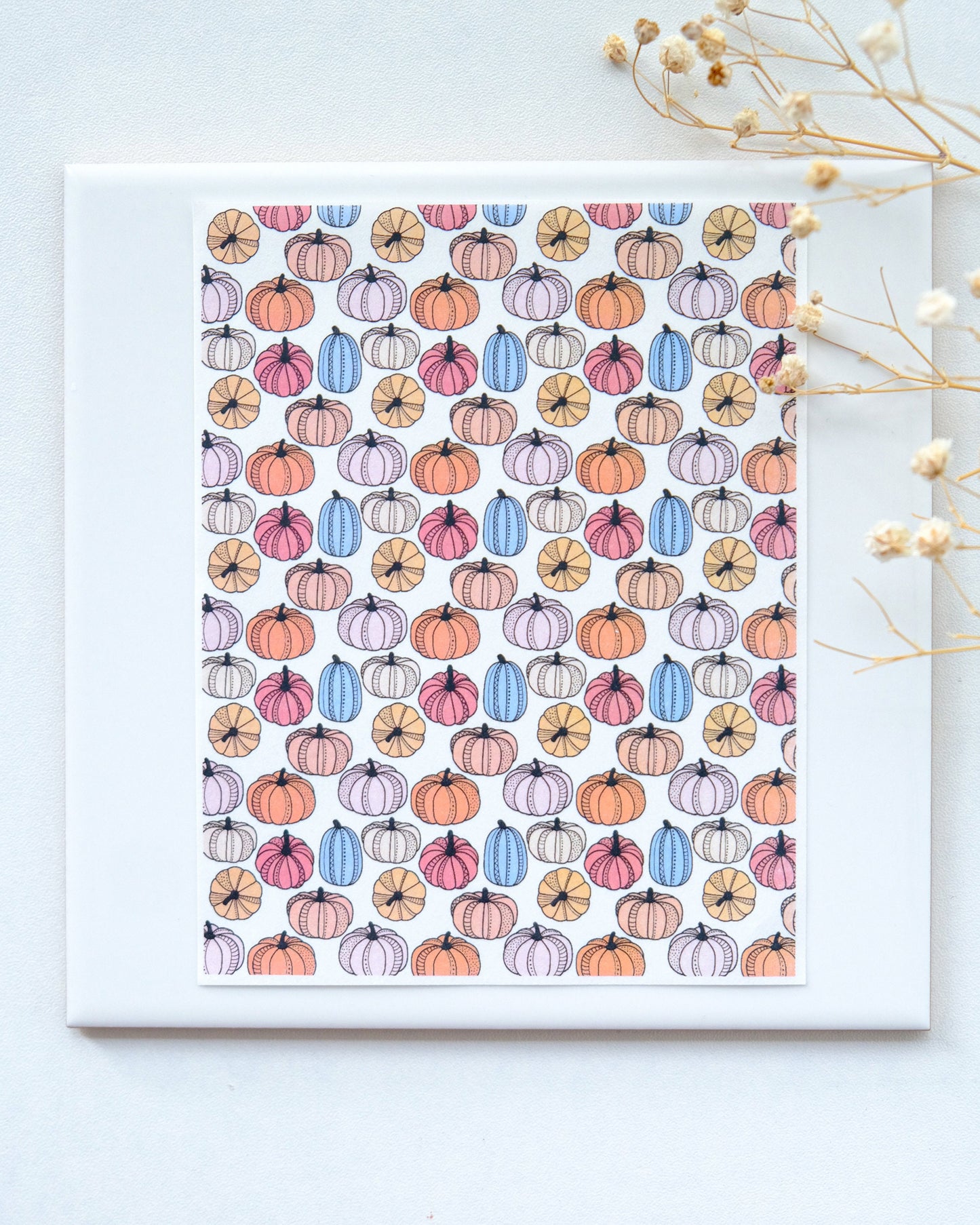 Colorful Pumpkin Clay Transfer Paper